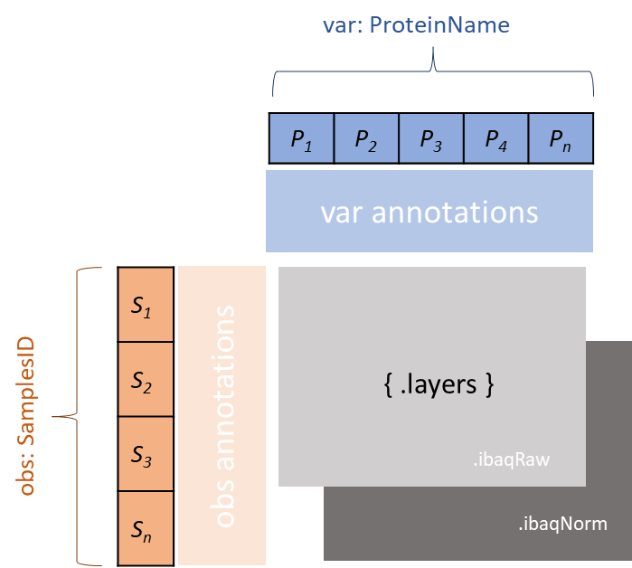 AnnData structure diagram showing how samples (obs), proteins (var), and conditions are organized in the data matrix